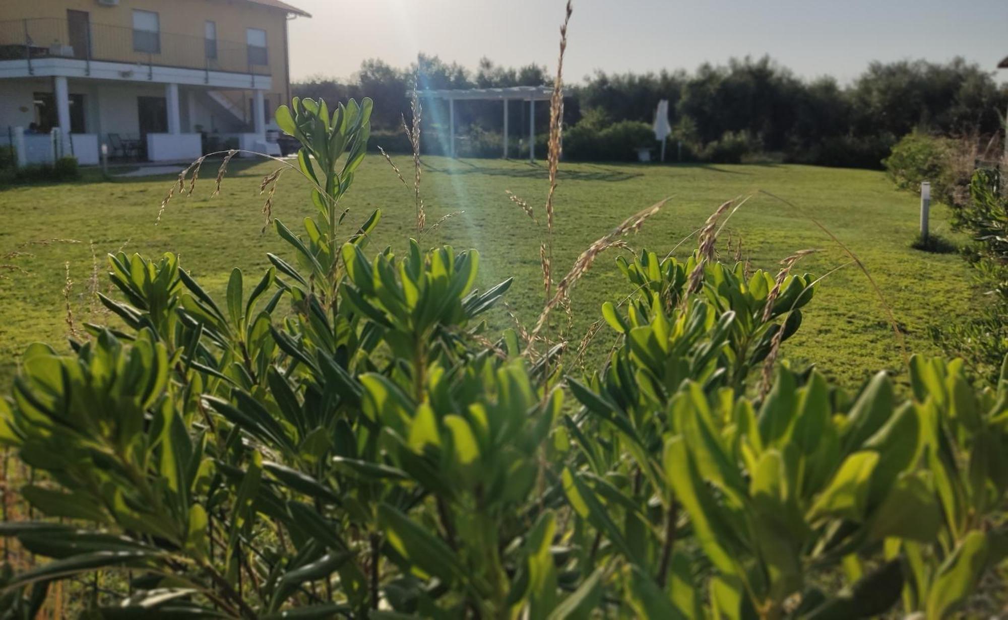 Natura E Mente Camere E Relax Vasto Exterior foto